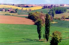 paysage